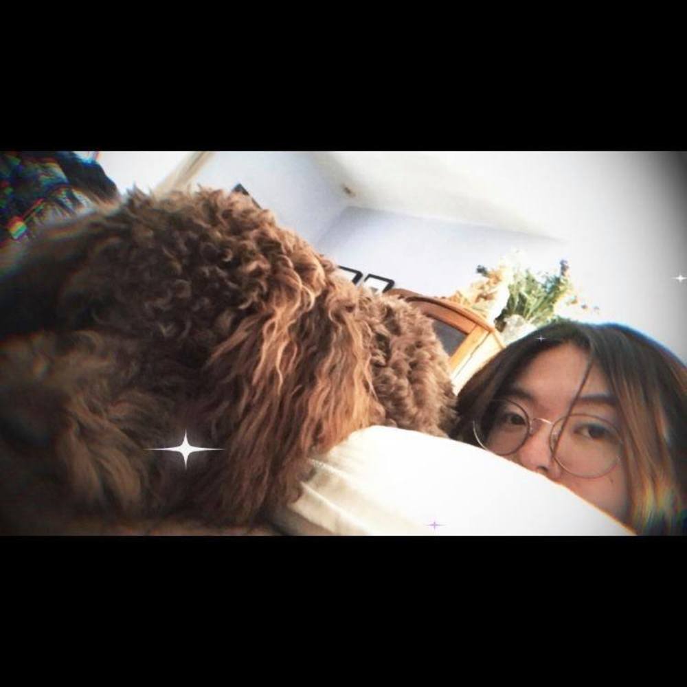 Meet your Posher, Abby